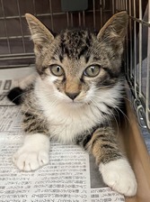 01-2A966109-3B4F-4EC7-B982-90B4BAEDAAF3