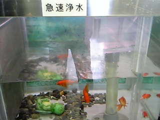 名古屋市の鍋屋上野浄水場を視察 芦屋市議会議員てらまえたかふみ寺前尊文