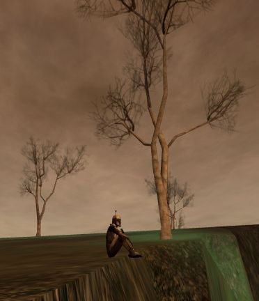 9f93c0e1.jpg
