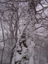 �У���������¦�Υ֥�