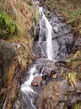 �ͥ�ë�������