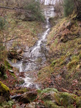 �ͥ�ë�����¿������