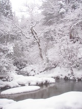 ͳ���޼ë�й��ն�