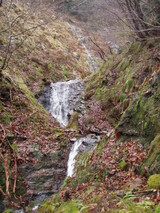 �ͥ�ë�������