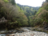 由良川 灰野の上流