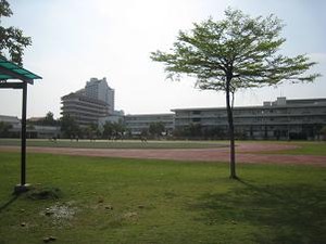 こんな炎天下でも