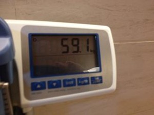8·î28Æü59.1Ô