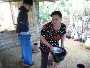 鶏小屋