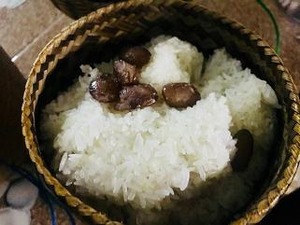 見た目は虫が入ってるみたいだな