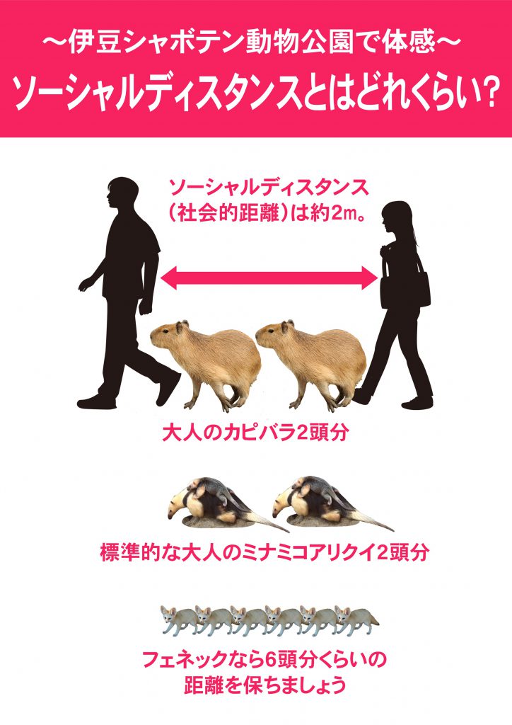 カピバラのぬいぐるみと相席で密を防止 伊豆シャボテン動物公園の癒される工夫 0を1にする 検査機メーカーになった町工場のブログ