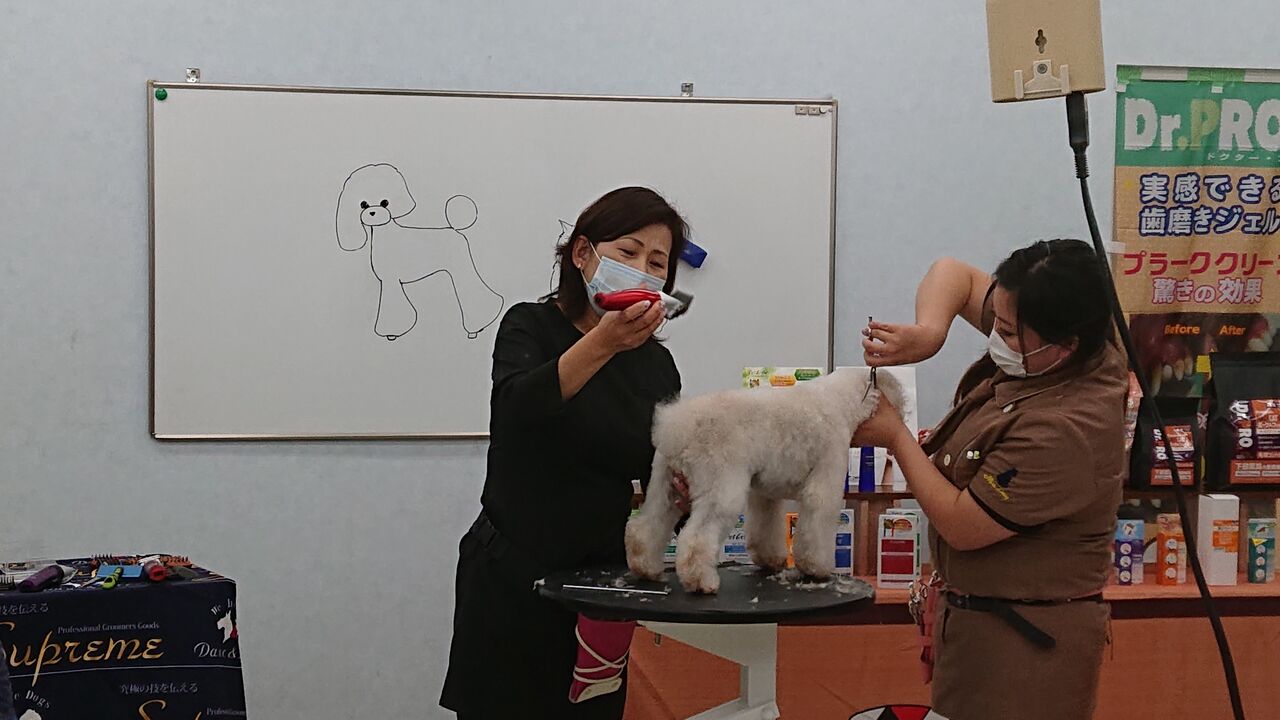 アジア動物専門学校のスクールライフ a日誌 アジア動物専門学校のスクールライフ a日誌