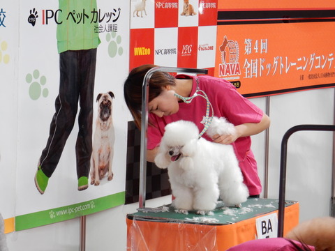 DSCN8165