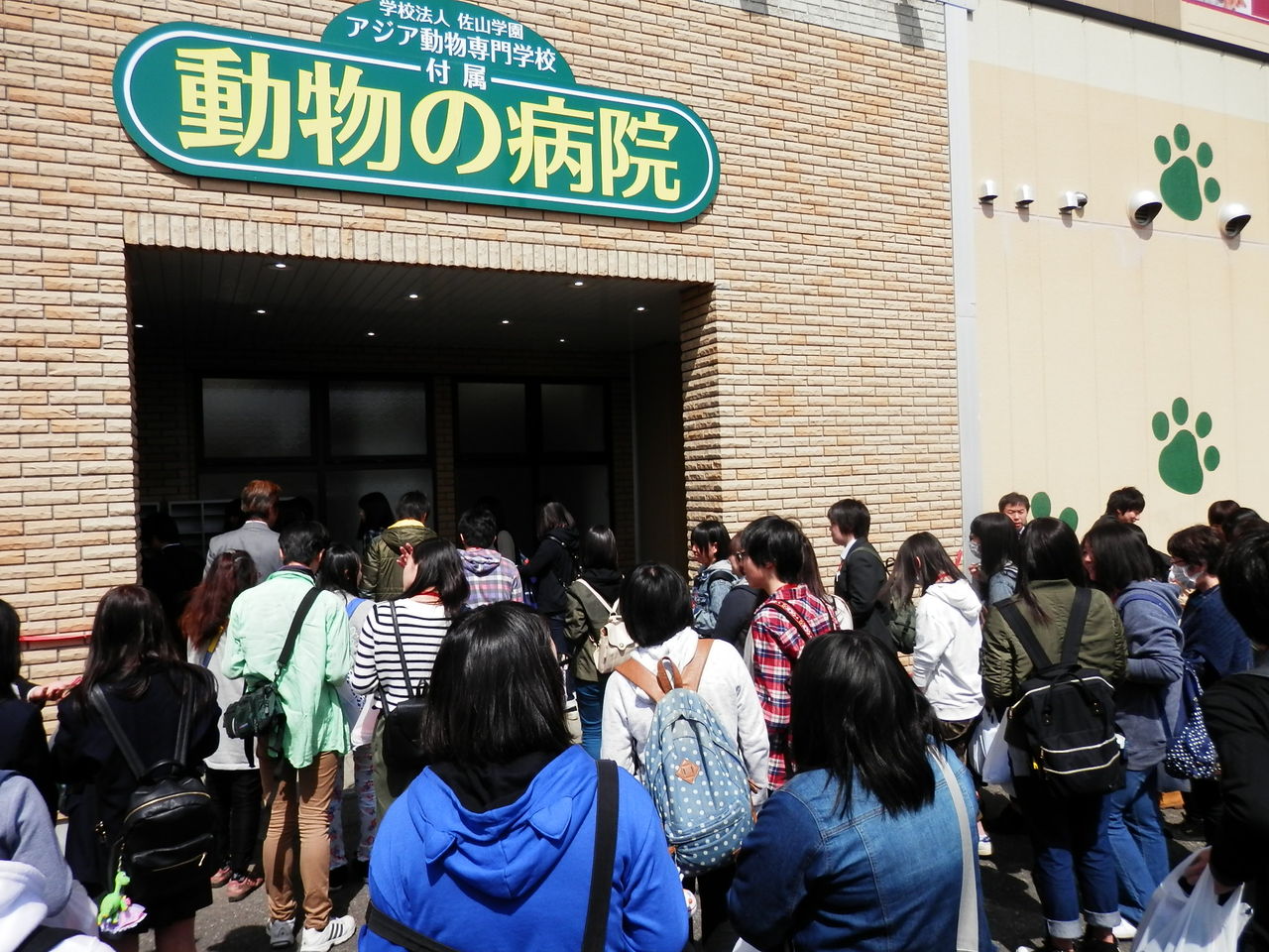 祝 アジア動物専門学校附属 動物の病院 開院 アジア動物専門学校のスクールライフ a日誌 祝 アジア動物専門学校附属 動物の病院 開院 アジア動物専門学校のスクールライフ a日誌
