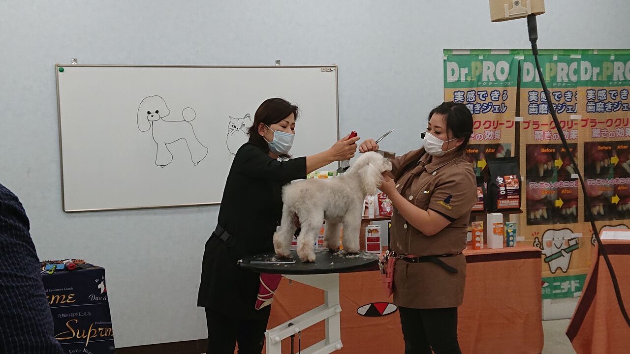 アジア動物専門学校のスクールライフ a日誌 アジア動物専門学校のスクールライフ a日誌