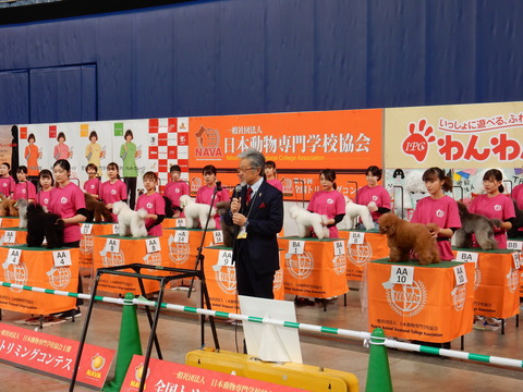 DSCN8111