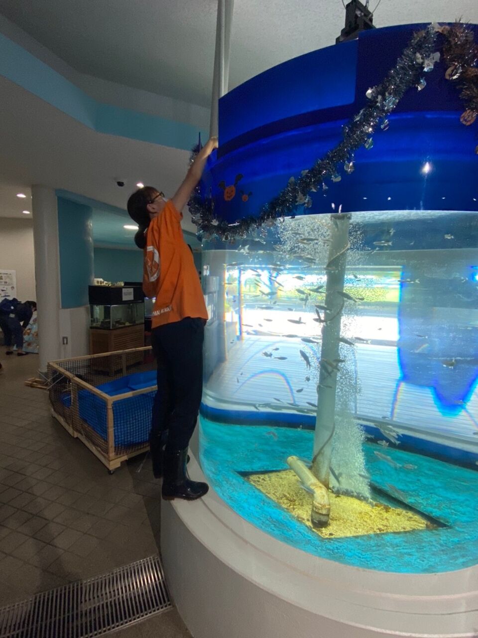 水族館実習のご紹介 アジア動物専門学校のスクールライフ a日誌 水族館実習のご紹介 アジア動物専門学校のスクールライフ a日誌