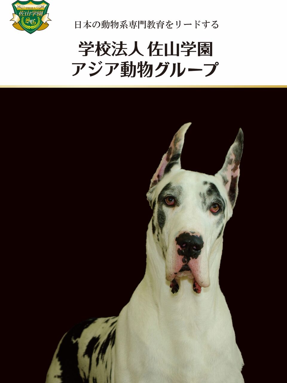 アジア動物グループが始動します アジア動物専門学校のスクールライフ a日誌