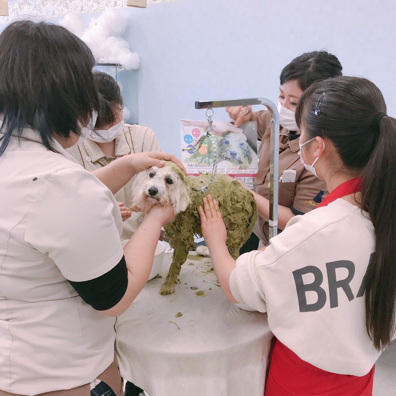 アジア動物専門学校のスクールライフ a日誌 アジア動物専門学校のスクールライフ a日誌