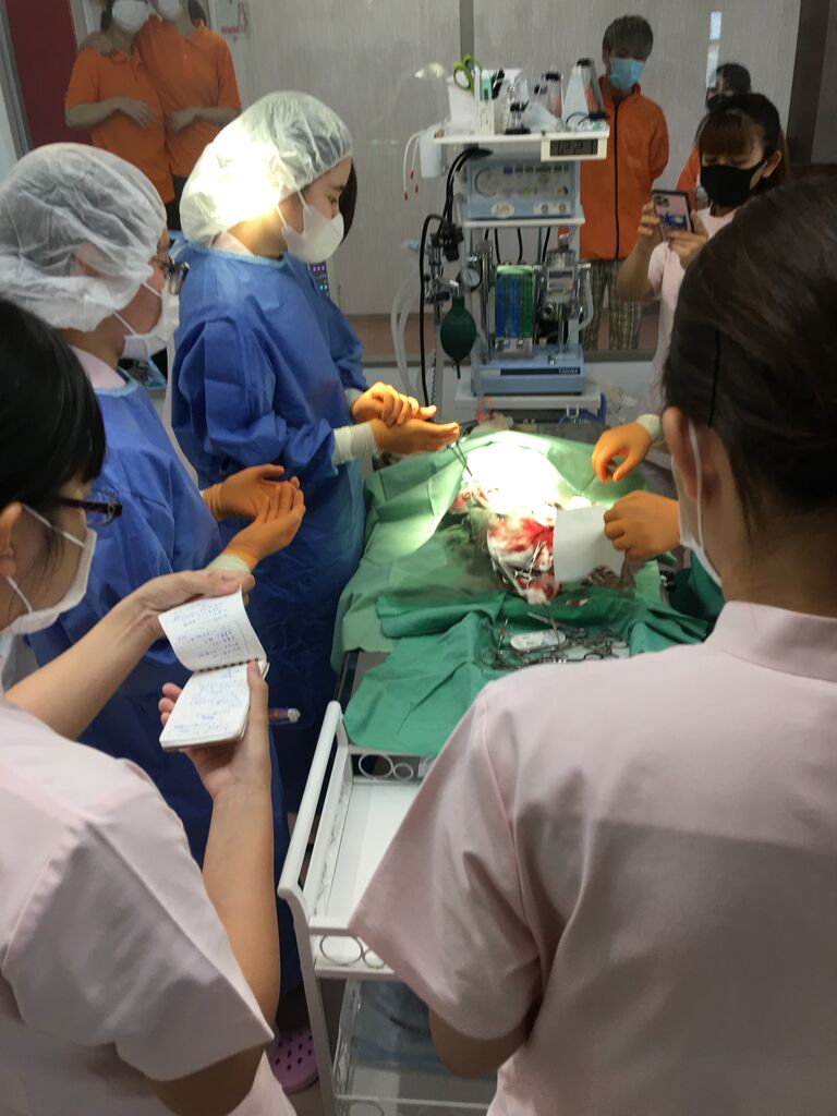 外科実習 アジア動物専門学校のスクールライフ a日誌 外科実習 アジア動物専門学校のスクールライフ a日誌