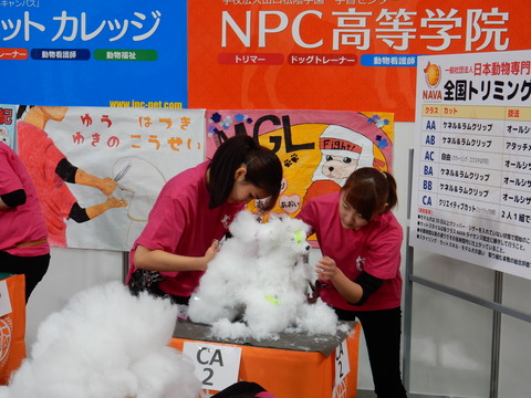 DSCN8141