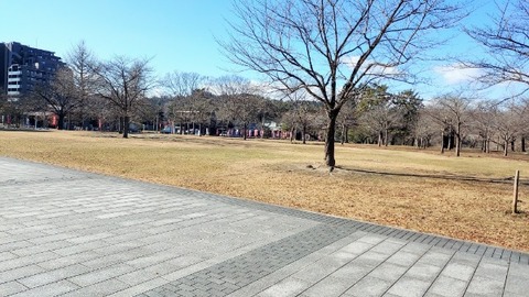 Picsart_24-01-30_19-05-28-890