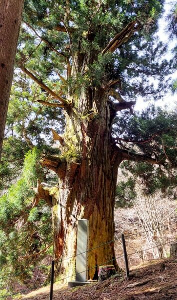 Picsart_22-03-30_15-59-49-384