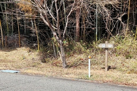 Picsart_24-04-03_17-51-39-814