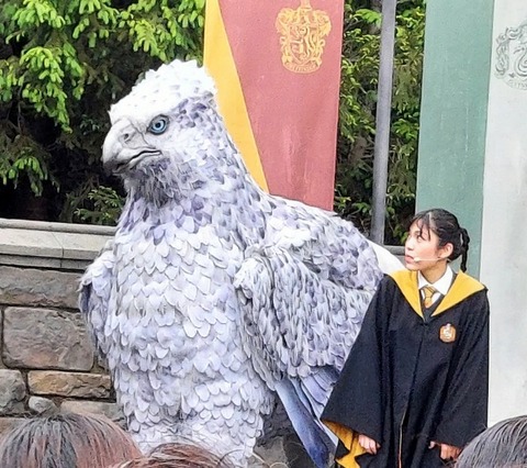 Picsart_23-04-26_16-43-31-719