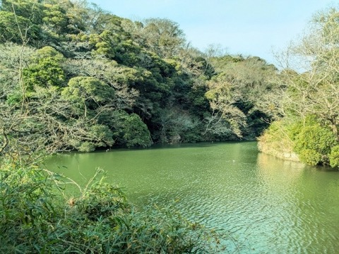 Picsart_25-01-15_18-16-40-445