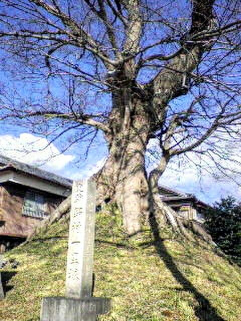 18961445_1768634162_1large~2