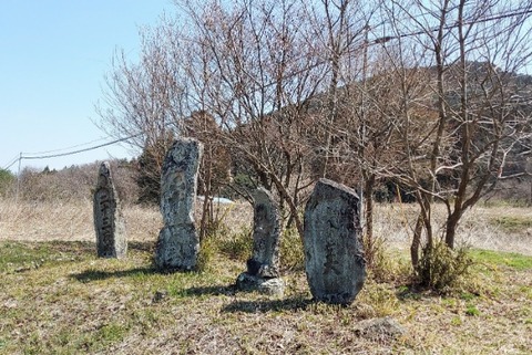 Picsart_24-04-02_10-19-16-392