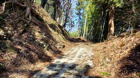 Picsart_24-04-03_18-26-29-496