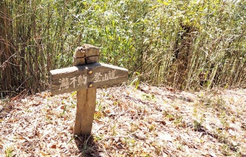 Picsart_24-04-06_06-44-15-919