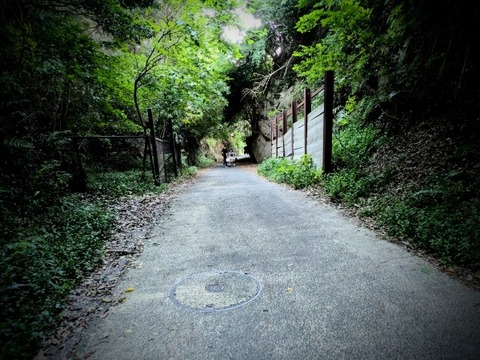 Picsart_25-07-30_21-17-00-683