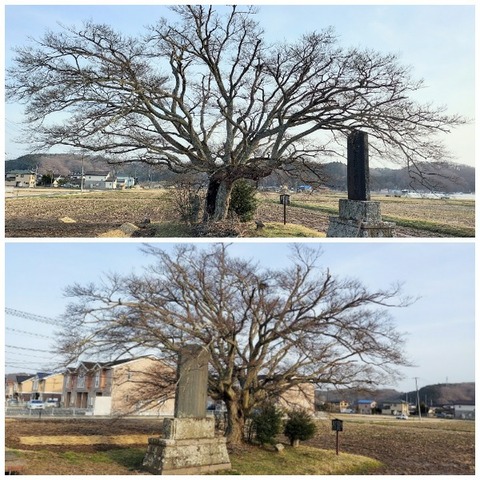 Picsart_24-04-09_12-55-35-260