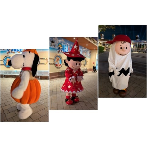 Picsart_25-09-14_12-26-46-154