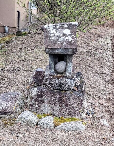 Picsart_22-04-27_22-17-52-162