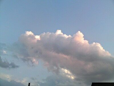 middle_1351686176~2