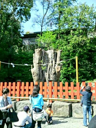 middle_12726204932~2