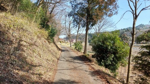 Picsart_24-04-09_09-15-53-420