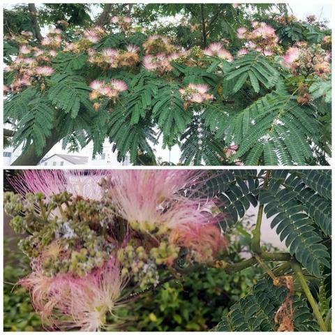 Picsart_23-06-28_15-44-11-591