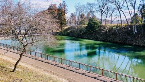 Picsart_24-01-30_19-33-56-319