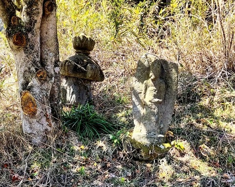 Picsart_24-04-03_16-39-27-191