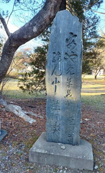 Picsart_24-01-30_20-13-27-659