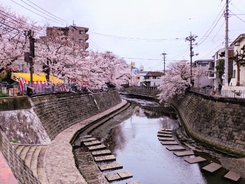 Picsart_26-04-01_20-31-13-237~2