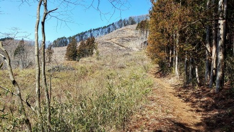 Picsart_24-04-03_18-09-12-003