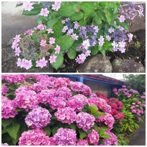 Picsart_23-06-28_23-14-12-208