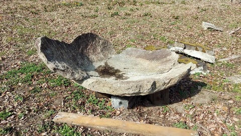 Picsart_24-04-09_10-41-35-303