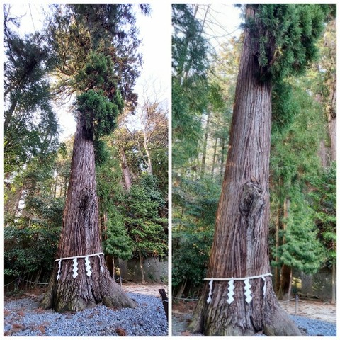 Picsart_24-04-09_12-40-54-385