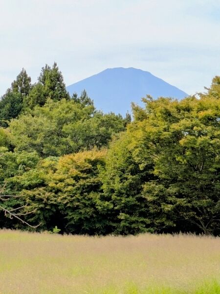 Picsart_25-10-08_18-05-46-461